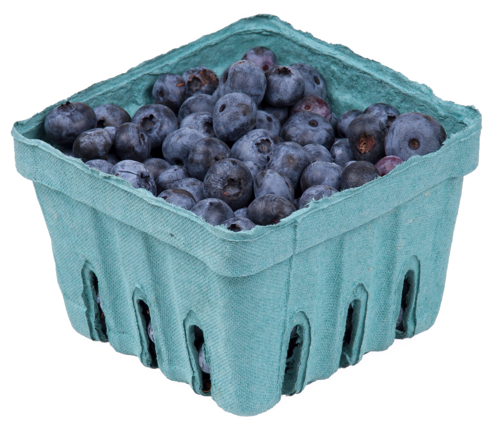A punnet of fresh blueberries
