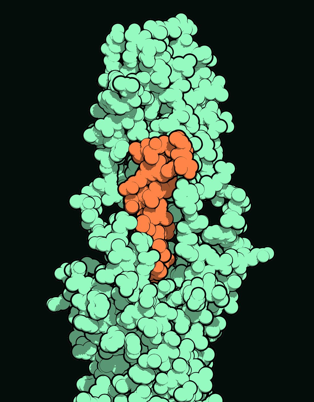 Space filling model of tirzepatide bound to the extracellular domain of the GIP receptor