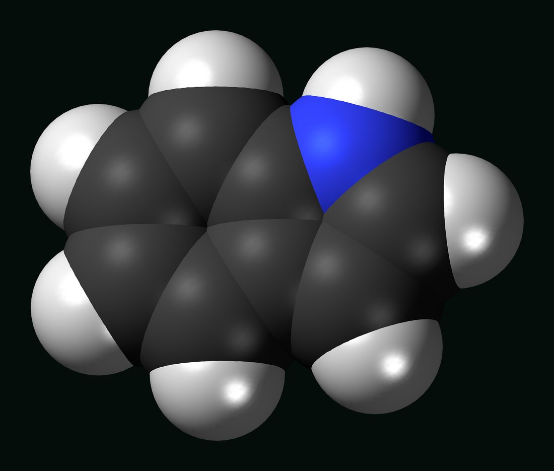 Space filling model of the indole molecule