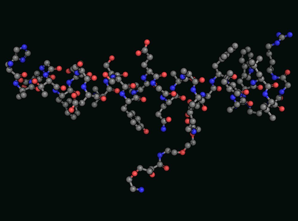Ball and stick model of the semaglutide peptide, a long chain of atoms rendered against black