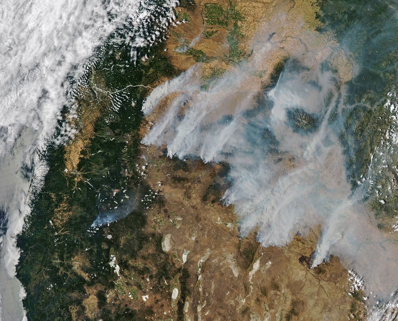 MODIS satellite view of Oregon with numerous separate smoke plumes streaming from fires across the interior of the state